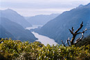 letzter Blick auf den Doubtful Sound vom Wilmot Pass