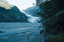 Der Gletscher endet am Regenwald.