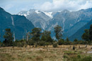 beim Lake Matheson