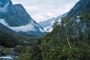 Der Gletscher endet am Regenwald.