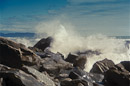 hinter einer Düne die Tasman Sea