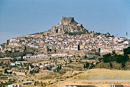 Morella