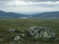 im Dovrefjell N. P.