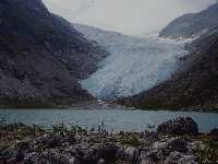 Bødalsbreen