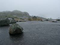 im baumlosen Hochfjell