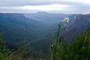 Blick von Evans Lookout zum Grose Valley