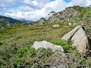 alpine Landschaft im Kosciuszko N. P.