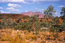 Mount Sonder