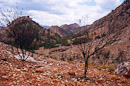 am Ormiston Gorge & Pound Walk