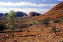 Valley of the Winds Walk