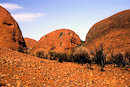 Valley of the Winds Walk