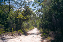 Weg zurück nach Kingfisher Bay