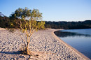 früher Morgen am Lake McKenzie