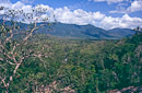 Aussicht bei Murray Falls