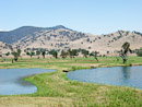 Mitta Mitta River