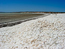 Muschelstrand