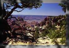 Blick vom Nordrand über den Grand canyon