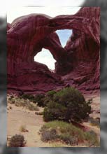 Double Arch