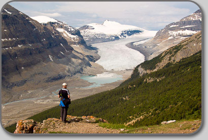 Sasketchawan Glacier