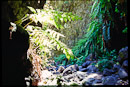 im steinigen Bachbett des Barranco del Aguas