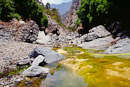 Pflanzen im mineralreichen Wasser