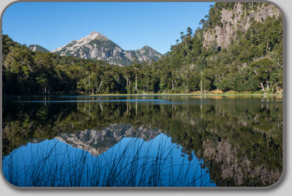 Laguna Pehuén