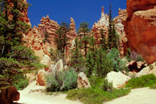 Bryce Canyon N. P.