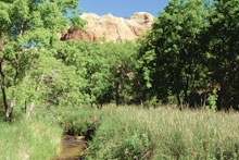 Calf Creek