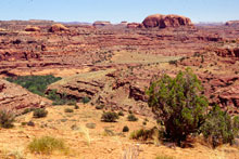 Grand staircase Escalante N. M.