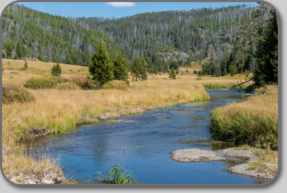 Broad Creek