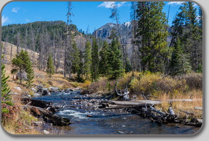 North Fork Specimen Creek